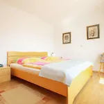 Mira *