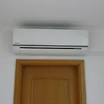 Mira *